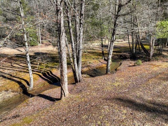 7233 Shakerag Road, Ellijay, GA 30540