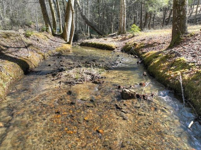 7233 Shakerag Road, Ellijay, GA 30540
