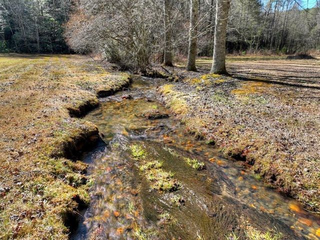 7233 Shakerag Road, Ellijay, GA 30540