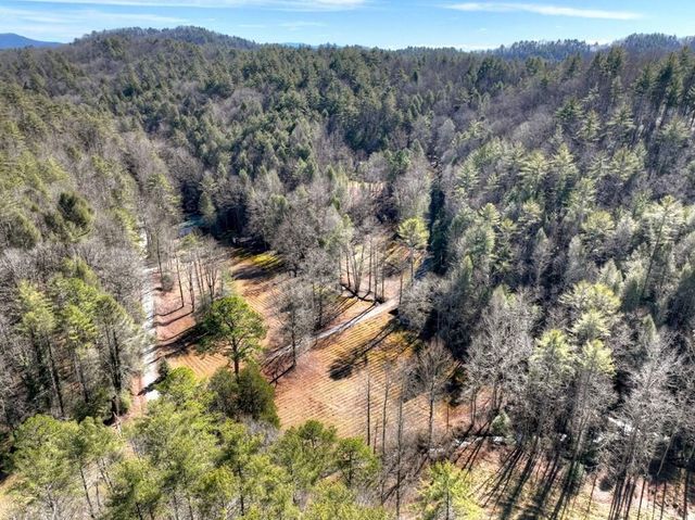 7233 Shakerag Road, Ellijay, GA 30540