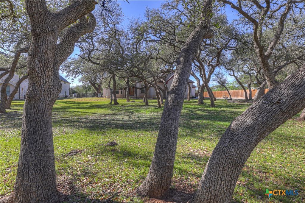 Image 3 of property listing at 243 Appalachian Trail, New Braunfels, TX 78132