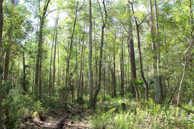 1500 S CANDLENUT & 1627 S PALM AVENUE, Homosassa, FL 34448