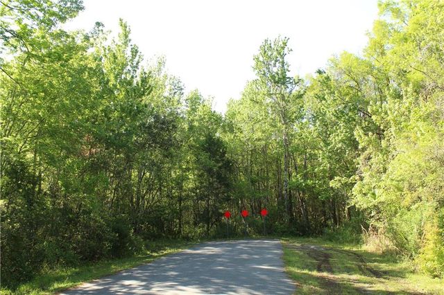 1500 S CANDLENUT & 1627 S PALM AVENUE, Homosassa, FL 34448