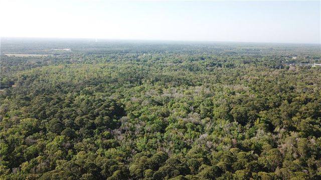 1500 S CANDLENUT & 1627 S PALM AVENUE, Homosassa, FL 34448