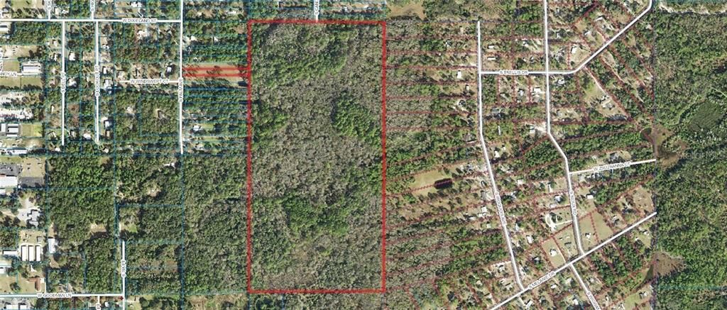 1500 S CANDLENUT & 1627 S PALM AVENUE, Homosassa, FL 34448