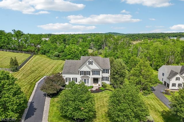 18 Steeple View Ct, West Amwell Twp., NJ 08530