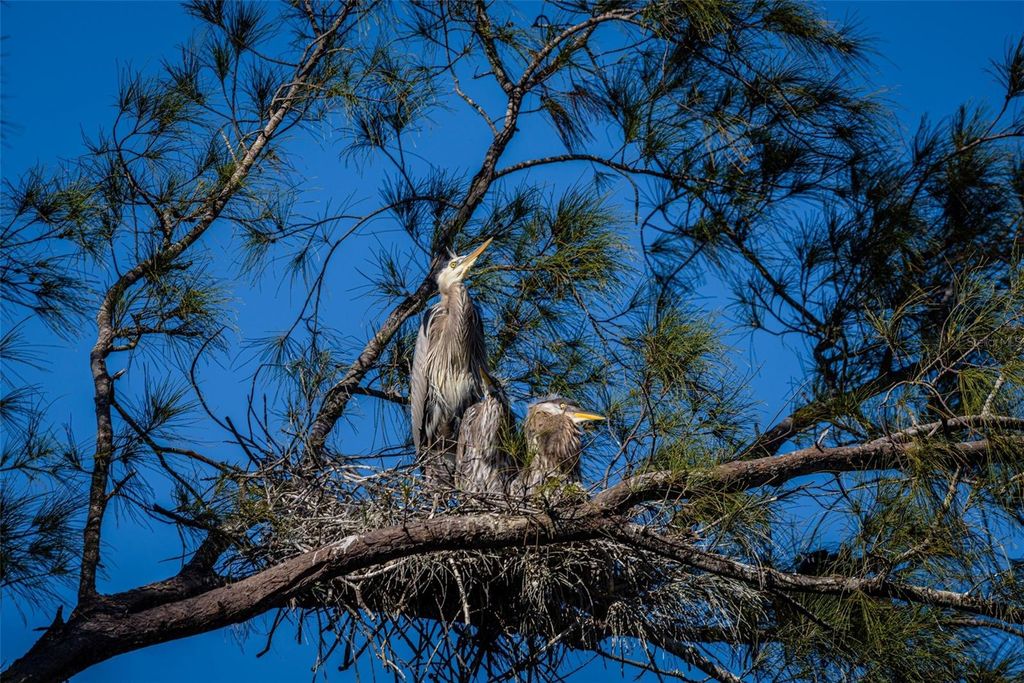 Image 32 of property listing at 9426 ANDOVER CIRCLE, Bradenton, FL 34210