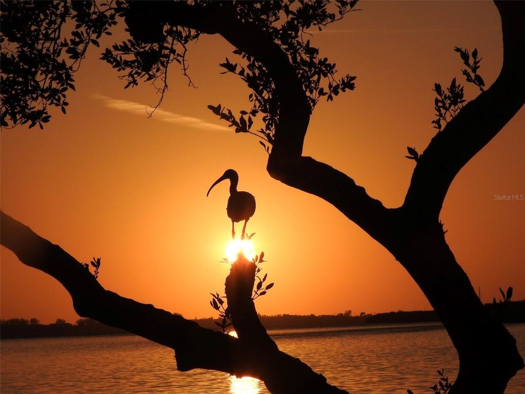 Image 72 of property listing at 9426 ANDOVER CIRCLE, Bradenton, FL 34210