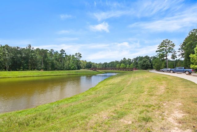 122 Ballantyne Drive, Montgomery, TX 77316