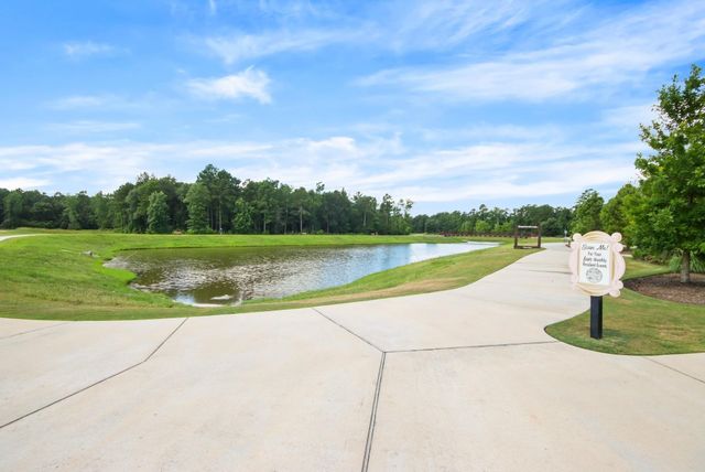 122 Ballantyne Drive, Montgomery, TX 77316