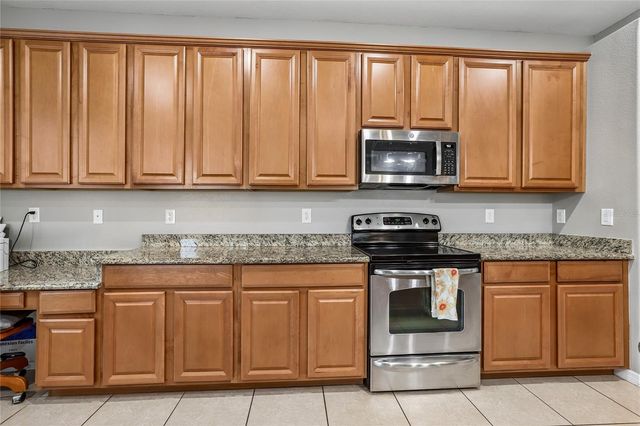 13231 GRAHAM YARDEN DRIVE, Riverview, FL 33579