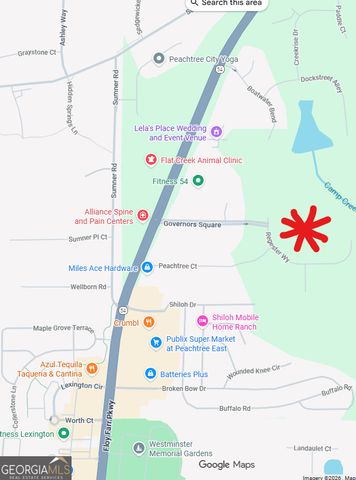 208 Regester Way LOT 43, Peachtree City, GA 30269