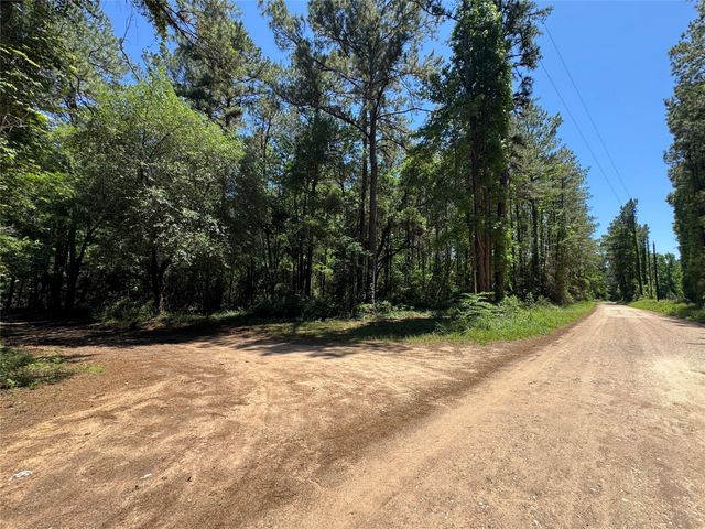 2374 Holly Grove Road, Livingston, TX 77351