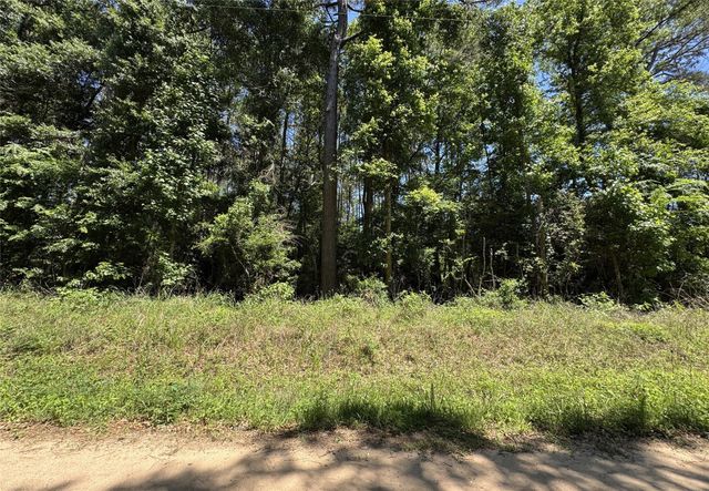 2374 Holly Grove Road, Livingston, TX 77351