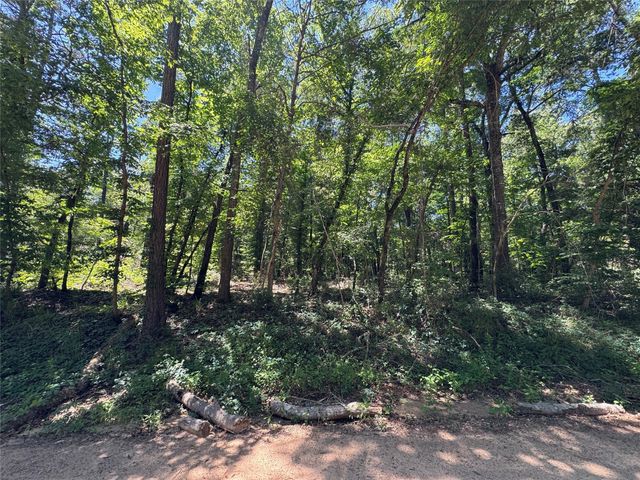 2374 Holly Grove Road, Livingston, TX 77351