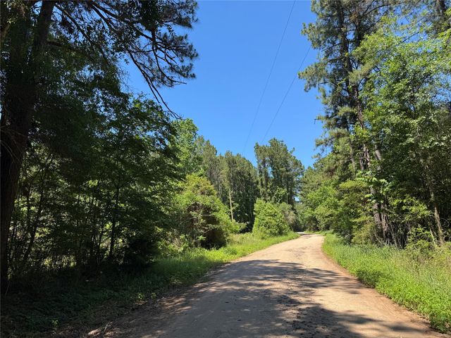 2374 Holly Grove Road, Livingston, TX 77351