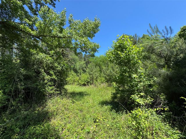 2374 Holly Grove Road, Livingston, TX 77351