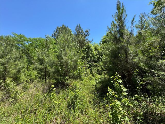 2374 Holly Grove Road, Livingston, TX 77351