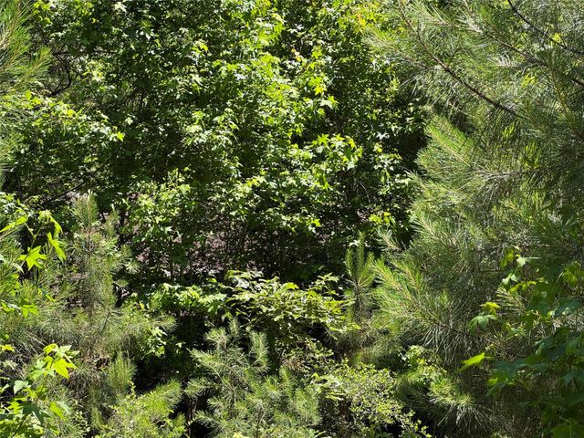 2374 Holly Grove Road, Livingston, TX 77351