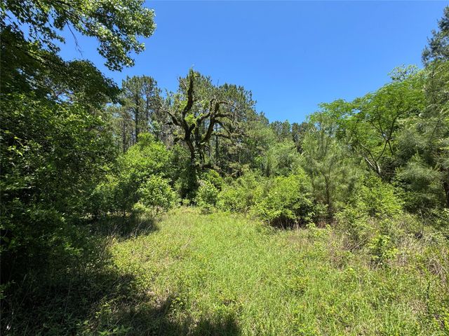 2374 Holly Grove Road, Livingston, TX 77351