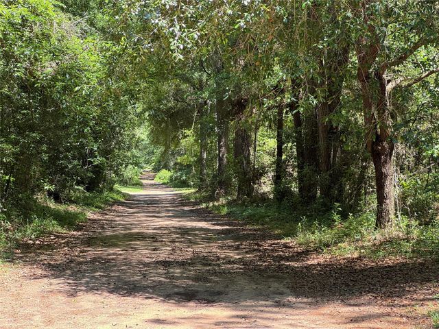 2374 Holly Grove Road, Livingston, TX 77351