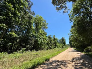 2374 Holly Grove Road, Livingston, TX 77351