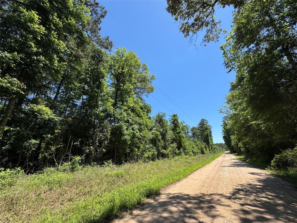 2374 Holly Grove Road, Livingston, TX 77351
