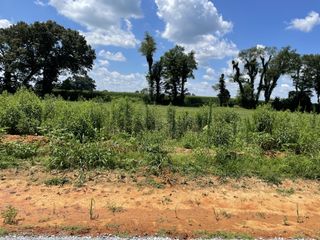 0 Hidden Hills Lane, Summertown, TN 38483
