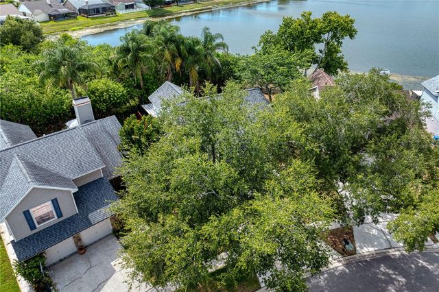 11844 BRANCH MOORING DRIVE, Tampa, FL 33635