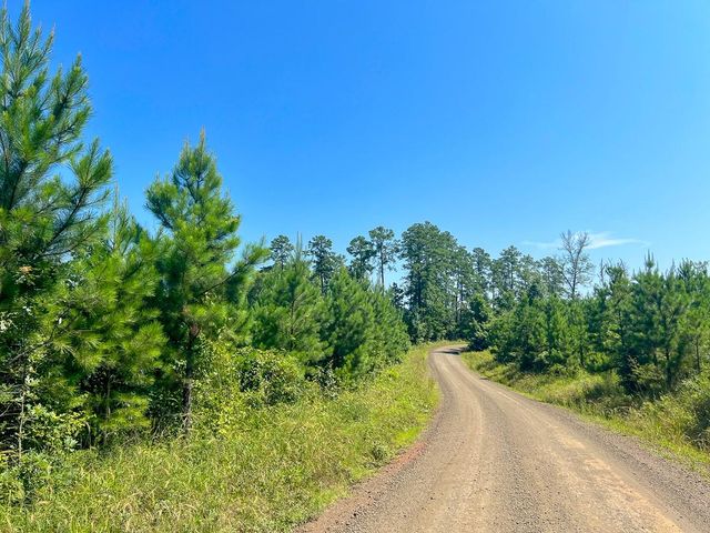 12 Carters Ferry Road, Milam, TX 75959