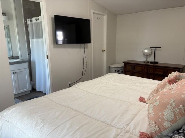 343 Butia Palms Street, Alamo, TX 78516