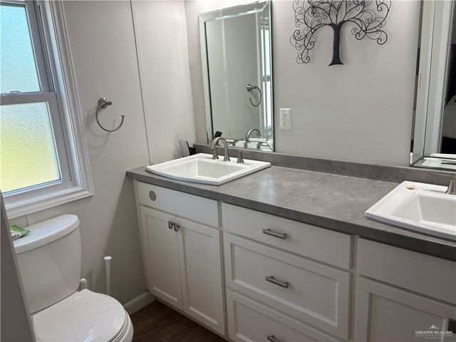 343 Butia Palms Street, Alamo, TX 78516