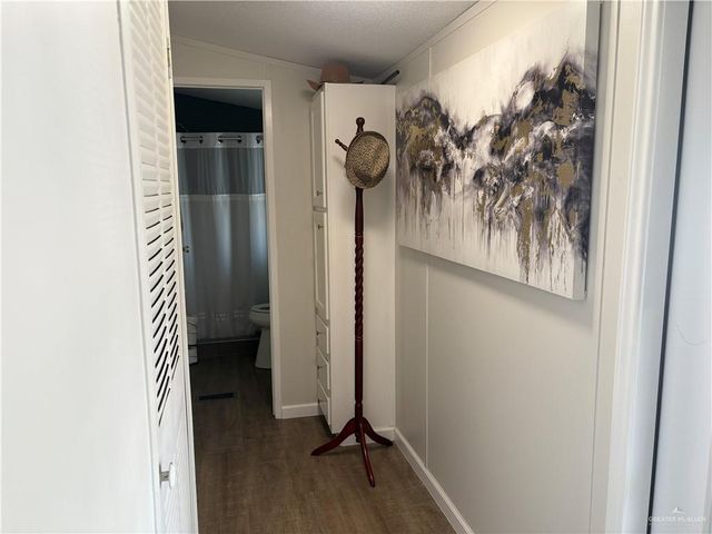 343 Butia Palms Street, Alamo, TX 78516