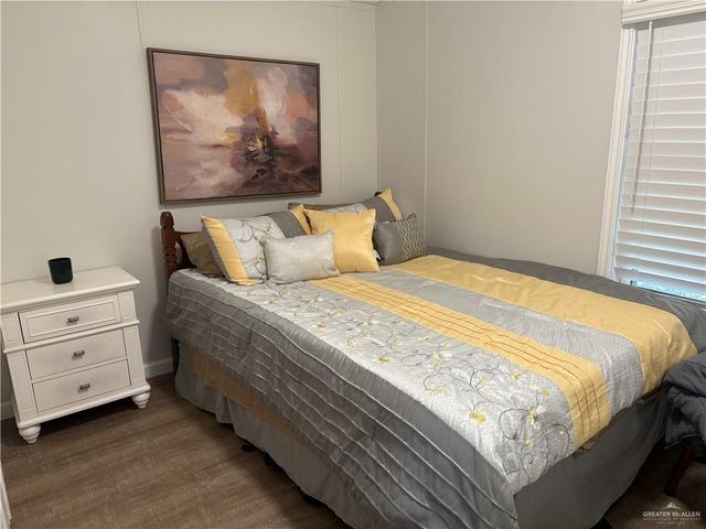 343 Butia Palms Street, Alamo, TX 78516