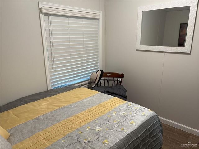 343 Butia Palms Street, Alamo, TX 78516