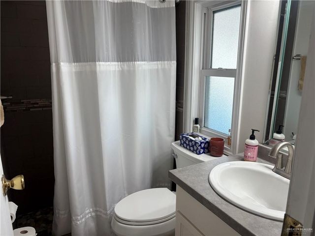 343 Butia Palms Street, Alamo, TX 78516