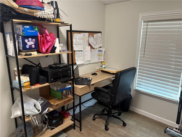 343 Butia Palms Street, Alamo, TX 78516