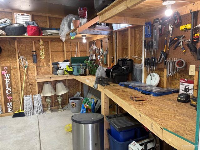 343 Butia Palms Street, Alamo, TX 78516