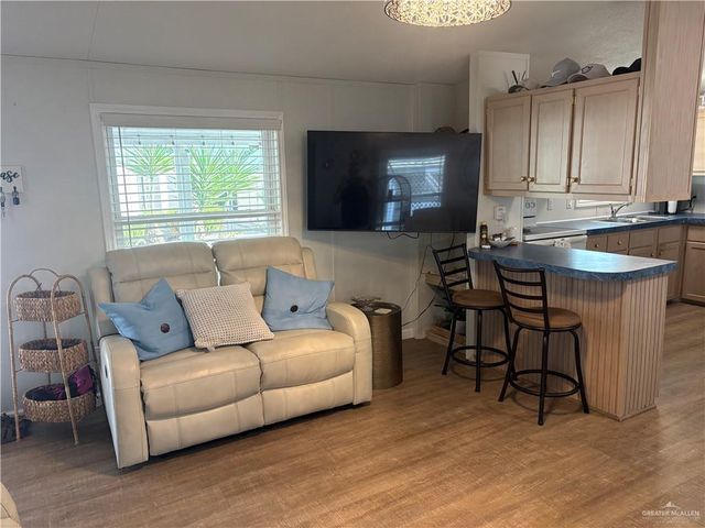 343 Butia Palms Street, Alamo, TX 78516