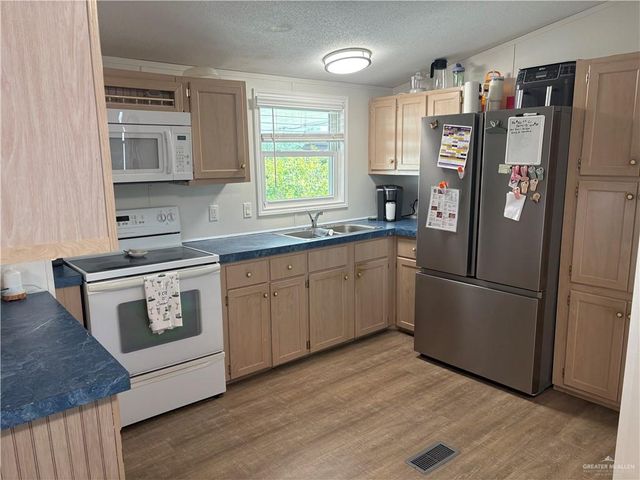 343 Butia Palms Street, Alamo, TX 78516