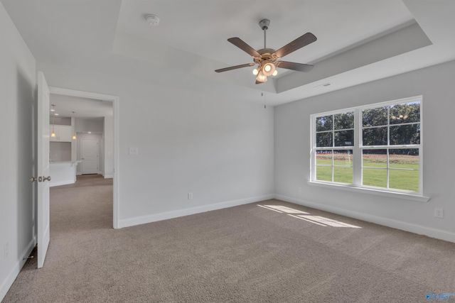 14163 Wildflower Drive, Harvest, AL 35749