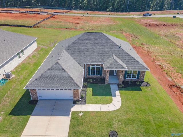 14163 Wildflower Drive, Harvest, AL 35749