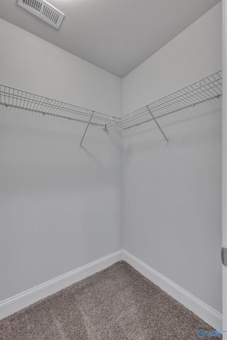 14163 Wildflower Drive, Harvest, AL 35749