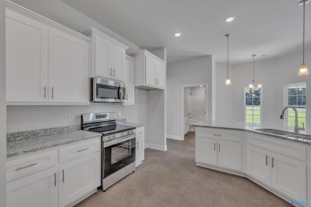 14163 Wildflower Drive, Harvest, AL 35749