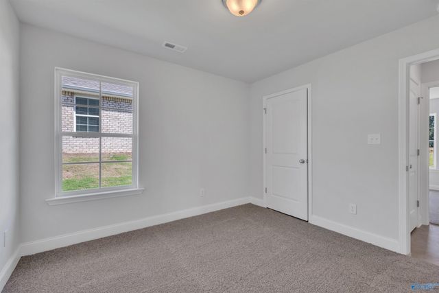 14163 Wildflower Drive, Harvest, AL 35749