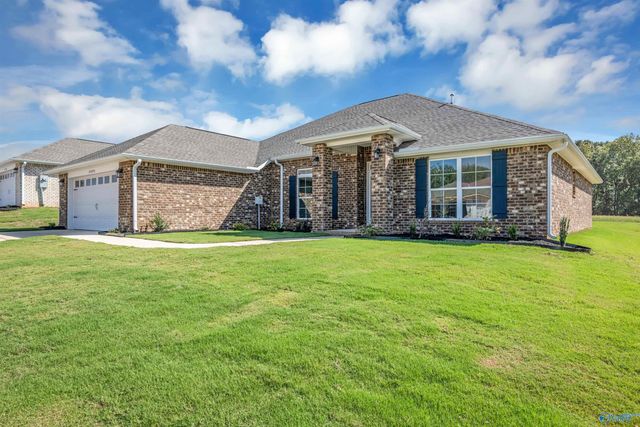 14163 Wildflower Drive, Harvest, AL 35749