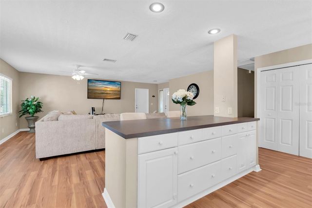 14006 CASCADE LANE, Tampa, FL 33618