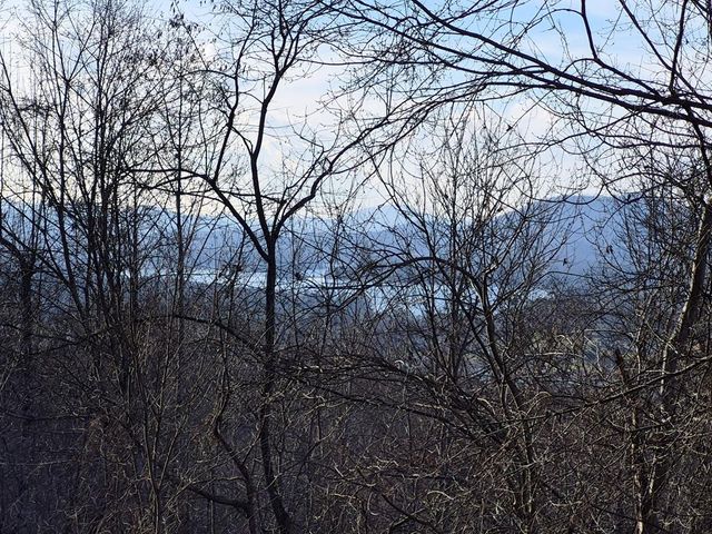 Lot 62 Dan Knob, Hayesville, NC 28904