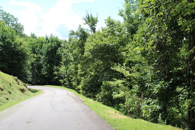 Lot 62 Dan Knob, Hayesville, NC 28904