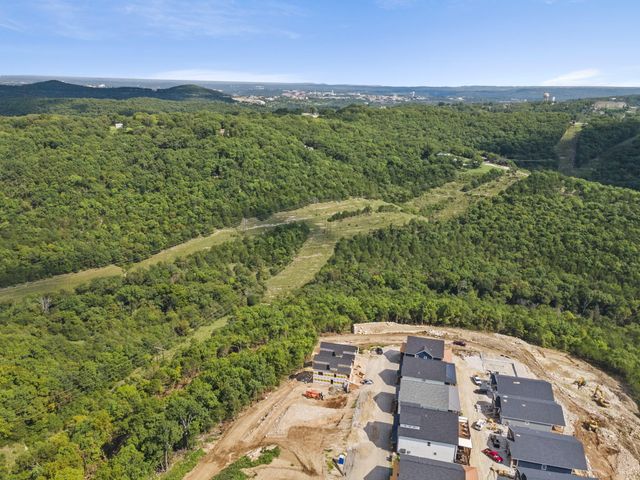30 David Shawn Drive Lot 171, Indian Point, MO 65616